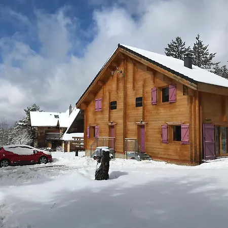 Le Daguet En Cevennes
